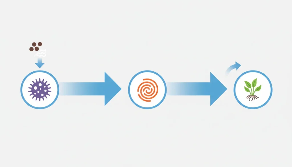 The Three Stages of the Nitrogen Cycle