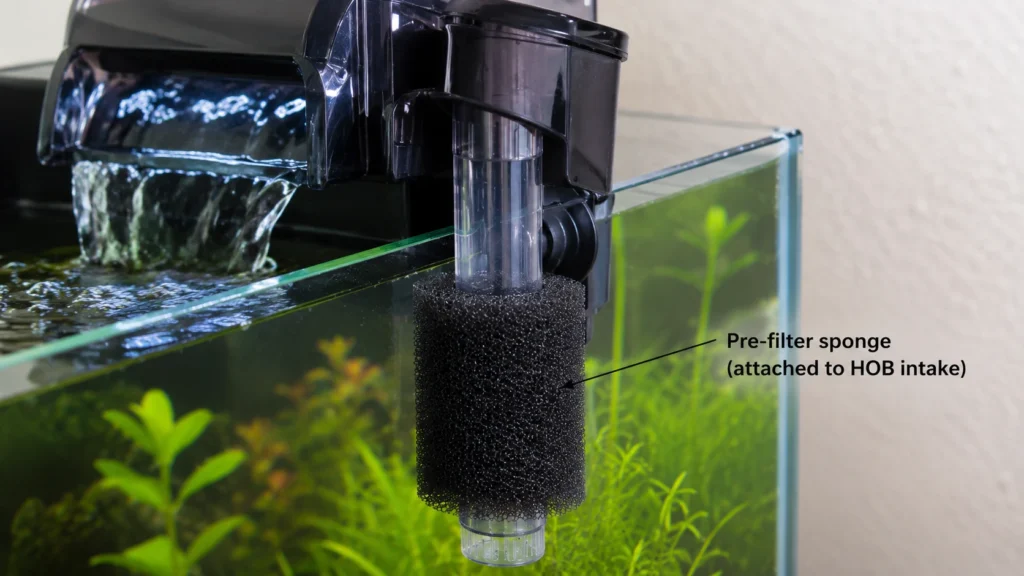 pre-filter sponge attached to a HOB intake tube